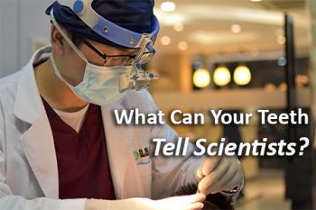 Lexington dentist, Dr. Brewer at Brewer Family Dental, tells patients what kind of information scientists have discovered by studying fossil teeth.